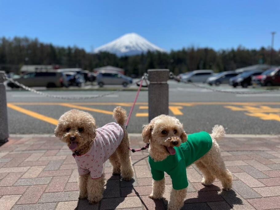 Mt. Fuji Kokoワンちゃんokの新築貸別荘 Фудзикавагутико Экстерьер фото
